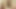 15.45 BBW PAWG Solo Fucking and Sucking Huge Dildo