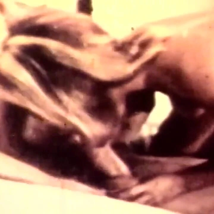 John Holmes non si stanca mai di scopare (film completo)