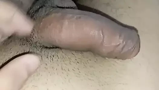 benim tatlı horoz