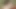 005.mp4