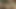 BBW Blonde Fucked Good