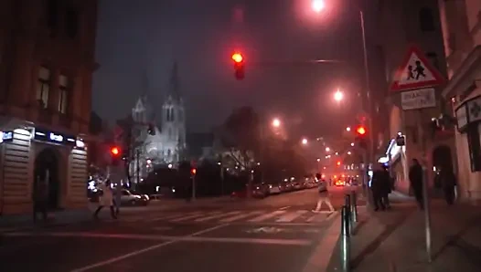 Blondine Hart Gefickt Im Fickbus