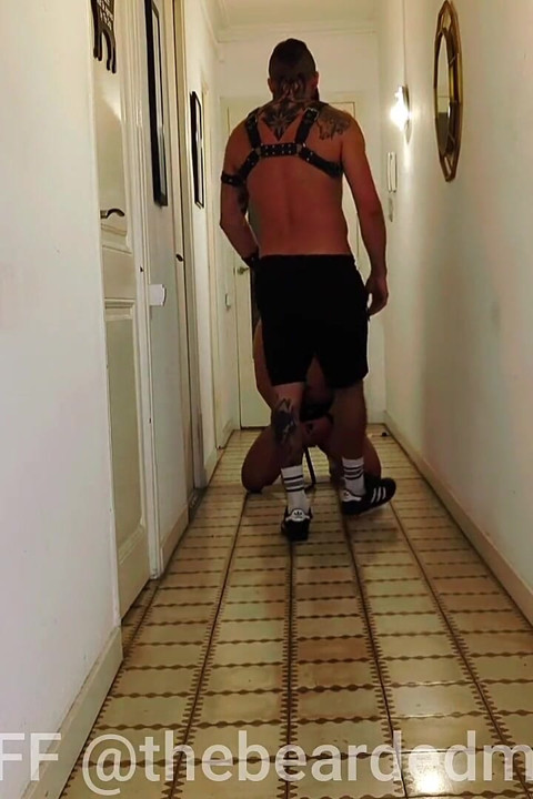 Puppy Play Slave. Sniff Master's Balls and Feet.