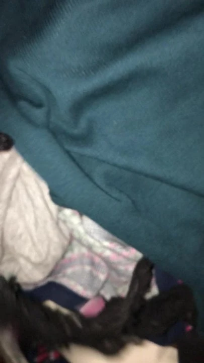 Panty sniffing