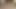 これが罰を受ける時だ
