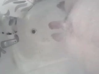 Kyle in bath