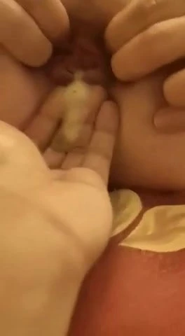 shemale fucking bareback