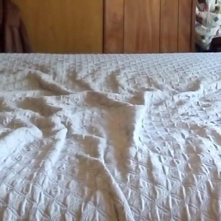 Anális videohívás