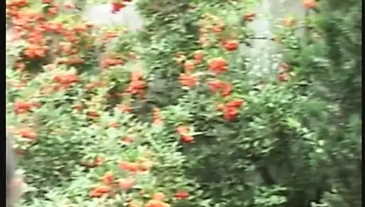 Blonde Babe Drenched in Sloppy Group Cum Loads Outdoors