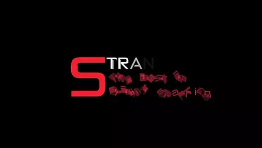 The Live Streamer