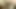 New fresh indian xxx village fucking video