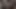 Dream Jerk Buds Cum On Their Cocks