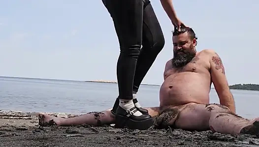 Gaspesie Cock Trampling