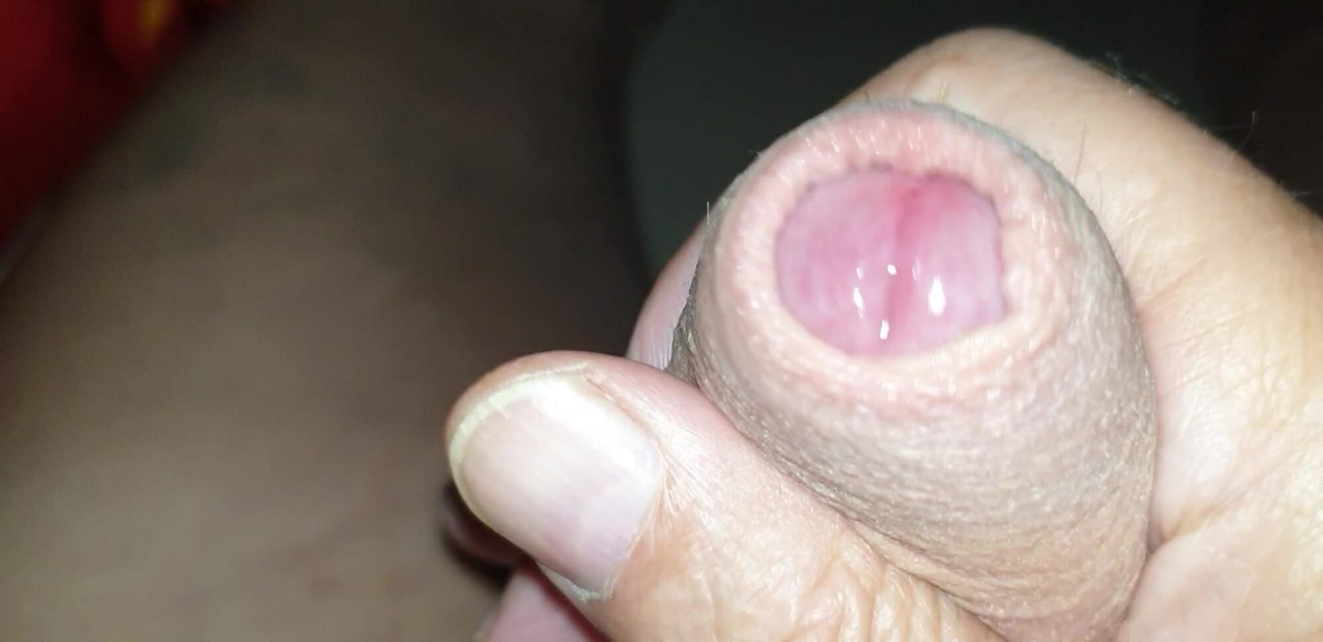 Love Cocks