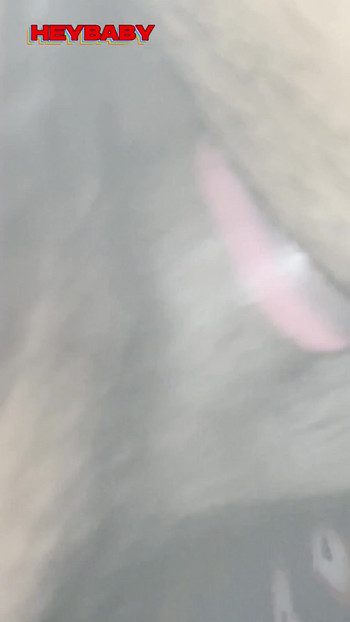 لحظة قوية من "DESI COUPLE SEX DOGGI"