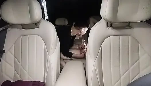 Sex on the highway: we drove into our pocket to spend the night.