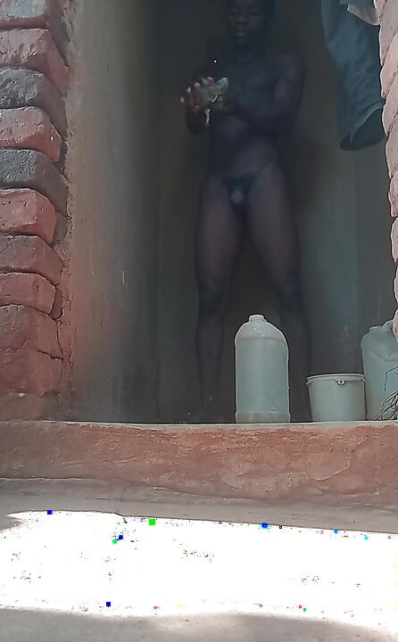 pelota rebotando en su caparazón