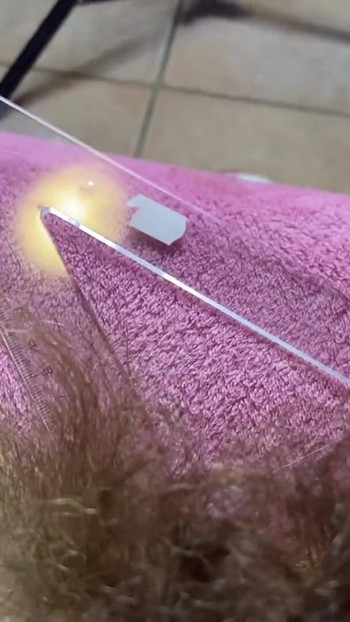 Památný okamžik z "detailního měření chlupatého bobry"