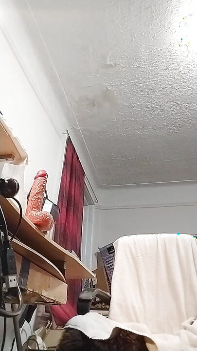 Would you like me to suck your cock?