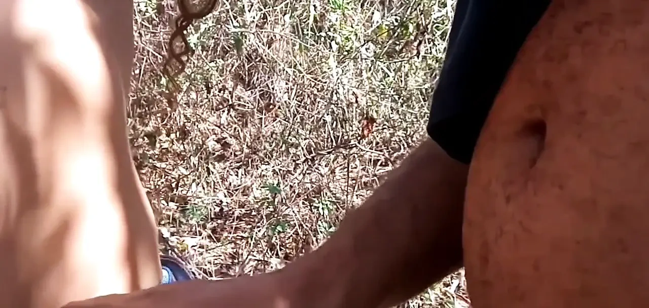 我会在树林里操这个年轻的喜悦吗？