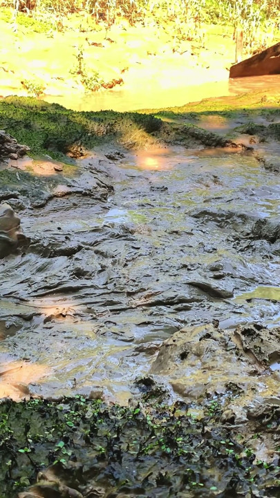 MUD SUBMISSION | Clip 1