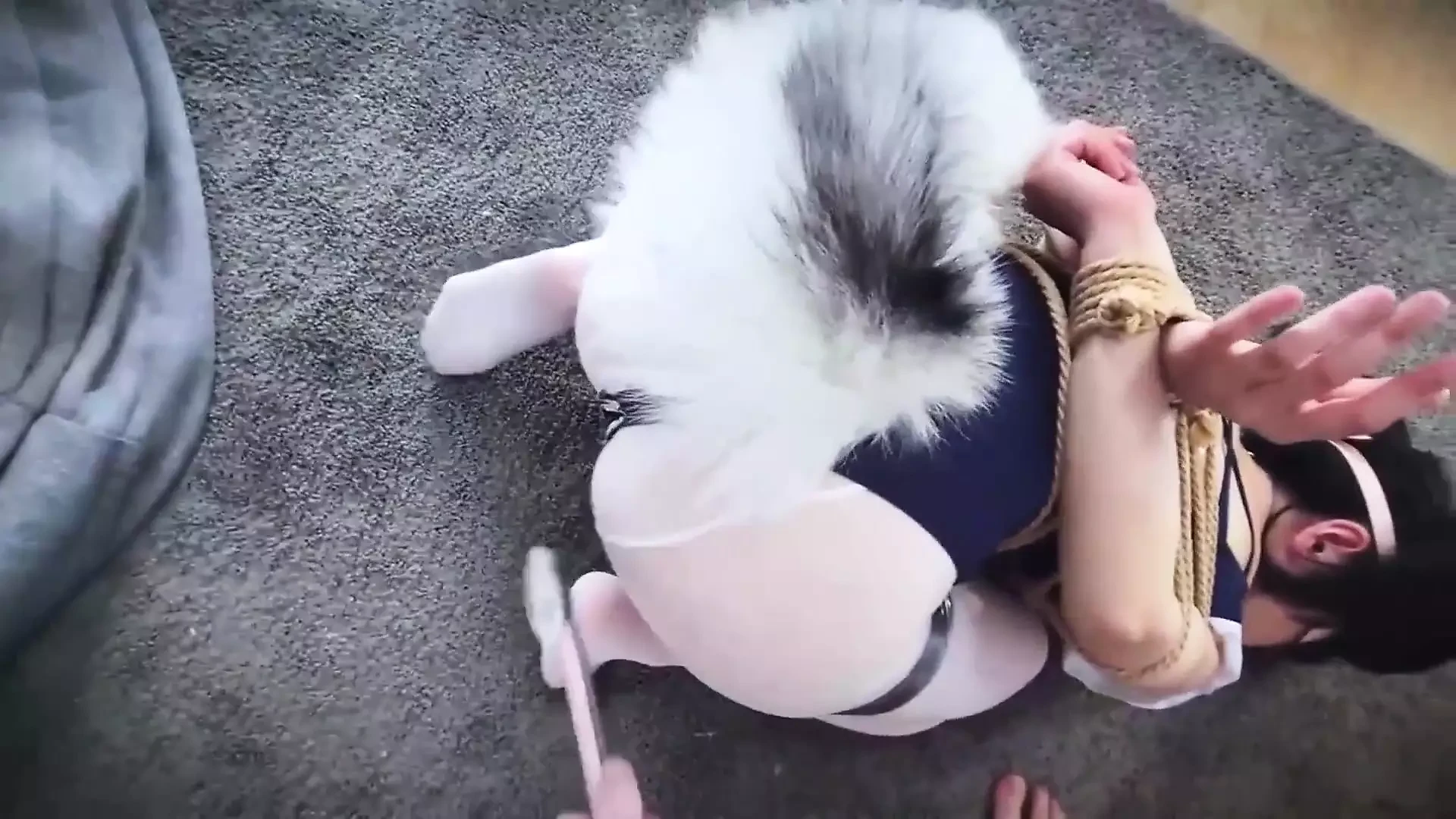 Секс Рабыня Кошка Секс Рабыня Кошка