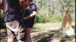 Pregled videozapisa