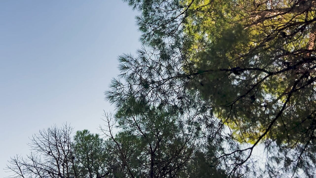 Sexo sensual al aire libre y sin prisas - pareja amateur íntima