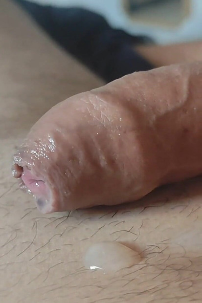 下午晚些时候的怪异甜蜜负载