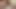 Wanking and cumshot in work toilet
