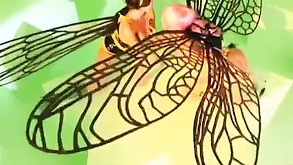 INSEXTS 1
