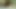Vulkanisches Squirting, Cumshots