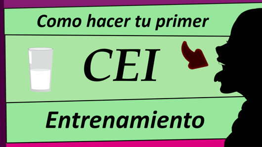 JOI - Instrucciones Para TU Primer CEI. Voz española.