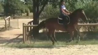 Amante a caballo