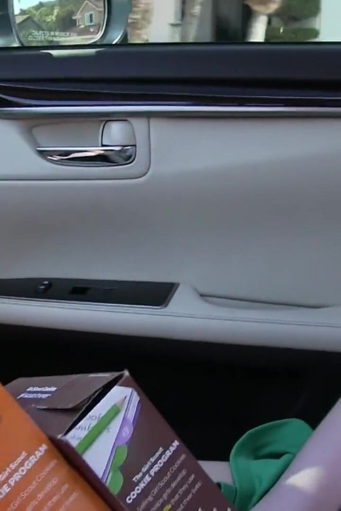 Lexi Lore Pulls Her Pink Panties To The Side So He Can Slip His Dick In