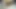 Fast throatpie & post orgasm blowjob from my other bitch