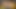 Mercy becerdin ve senin pov gelen Creampie. aşırı izlemek 3d hentai