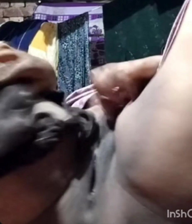 Desi bhabhi pussy show