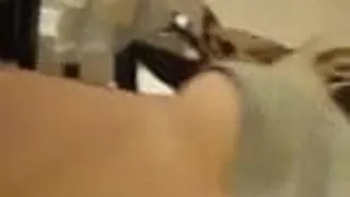 Iranian girl with tattoo getting fucked well