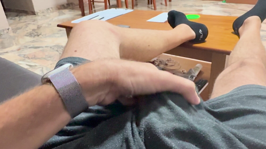 قرنية في السراويل القصيرة