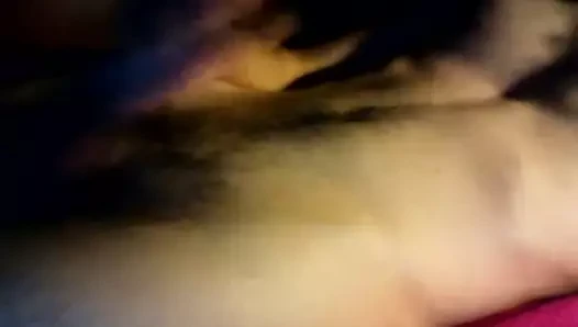 wixx p