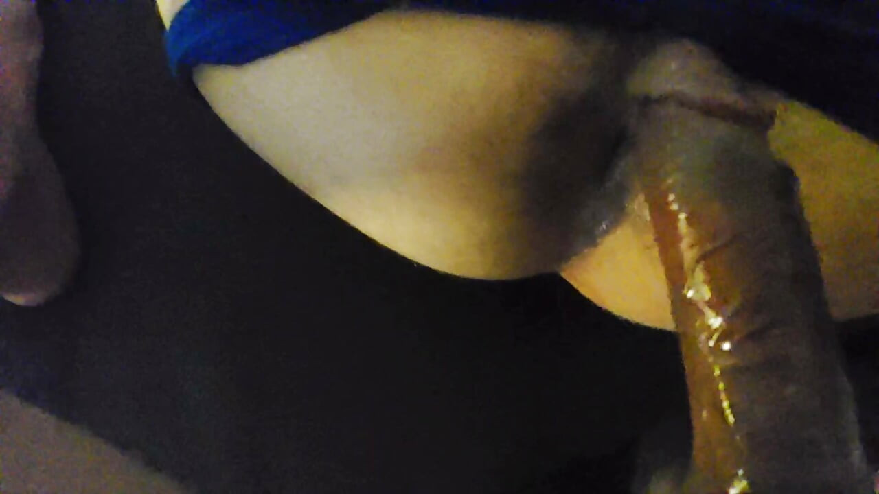 Young Straight Arab Top - once more breeding obedient white
