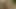 Stallion with big cock in rural area