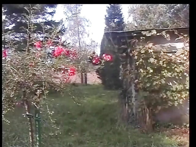 عاهرات المرحاض