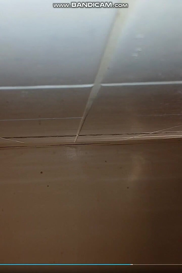 Sexy Nelly Solo in the Bathroom with Her Toy