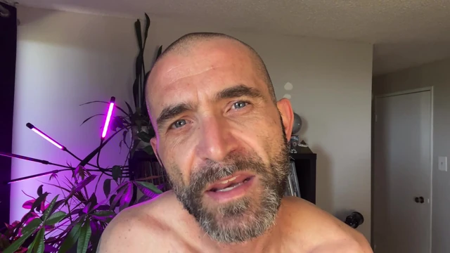 It’s your turn to get bred by verbal stepdaddy