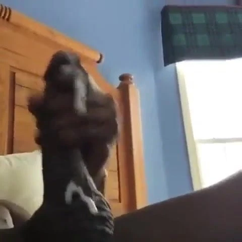 Big load