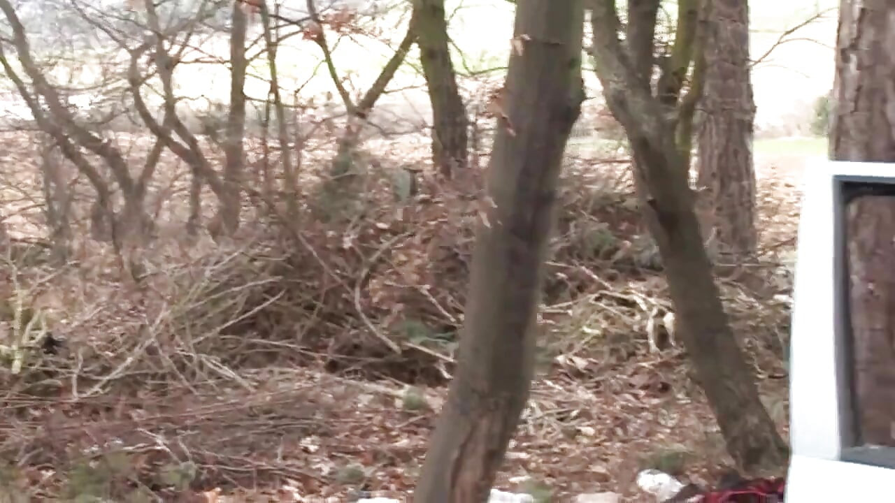 Šukání sání, anál penetrovaný v autě... stříkání na kundičku