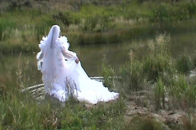 organza wed gown swim