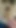 Yeni viral video tavşan